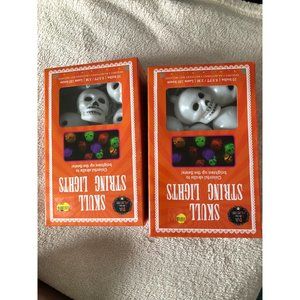 De Los muertos skull plastic mini lights